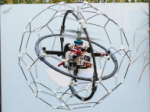 Insect-Inspried GimBall Robot can Handle Impacts