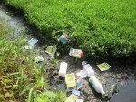 Widespread use of herbicides can have negative impacts on health and the environment