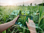 Smart agriculture: The transformative potential of data-driven agriculture